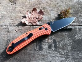 Review du couteau pliant Ganzo G739