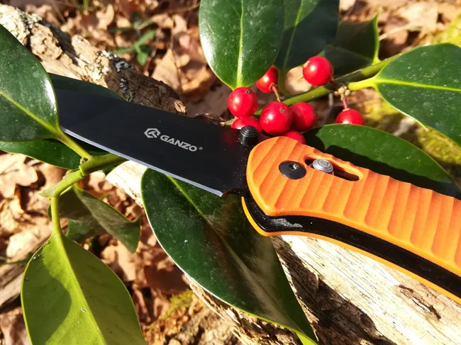 Ganzo 739