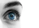 Comprendre les principes de la vision nocturne chez l'homme